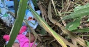 Navami celebration baby girl child नवमी का उल्हास और मासूम बच्ची