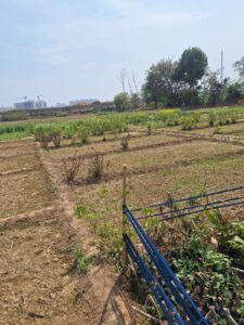 Ghaziabad development authority news इंदिरापुरम में गाज़ियाबाद विकास प्राधिकरण की बड़ी पहल