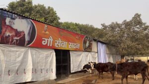 greno ग्रेटर नोएडा: पशुओं की मदद के लिए उठाया बड़ा कदम