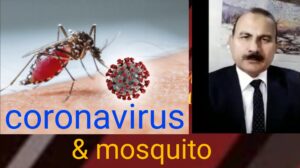 Coronavirus in india कोरोना से निबटने का दावा मच्छर काबू करने और फागिंग की सच्चाई
