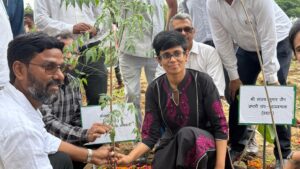 Miyawaki Technique  ग्रेनो प्राधिकरण की पहल मियावाकी तकनीक, तीन साल में होगा हरा-भरा नज़ारा