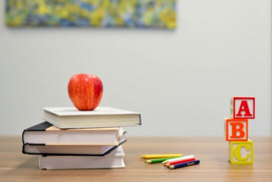 CBSE ने 2027 बोर्ड परीक्षा के लिए नया पाठ्यक्रम जारी किया, NEP 2020 के तहत बड़े बदलाव