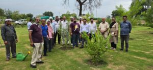 Tree Plantation Drive  हरित गाजियाबाद, सुरक्षित कल! जीडीए का मधुबन बापूधाम योजना में वृक्षारोपण अभियान