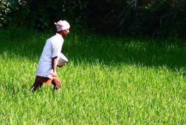 मौसम विभाग ने किसानों के लिए विशेष सलाह जारी की, फसलों को सुरक्षित रखने के लिए सतर्क रहने की अपील