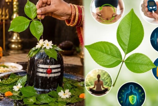 शिवजी का प्रिय बेलपत्र है सुपरफूड, बरसात में रोज़ 1 पत्ता खाएं तो इम्यूनिटी हो सकती है मजबूत,
