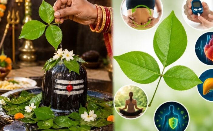 शिवजी का प्रिय बेलपत्र है सुपरफूड, बरसात में रोज़ 1 पत्ता खाएं तो इम्यूनिटी हो सकती है मजबूत,