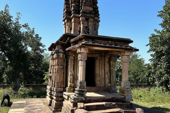 सियासी घुमक्कड़ी में माहिर हैं अवतार सिंह भड़ाना, क्‍या चौथी बार 2027 में फिर होगा वेस्ट यूपी ठिकाना?
