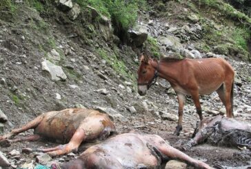 पहाड़ी राज्यों में भूस्खलन का खतरा बढ़ा, प्रशासन ने संवेदनशील क्षेत्रों में अलर्ट जारी किया