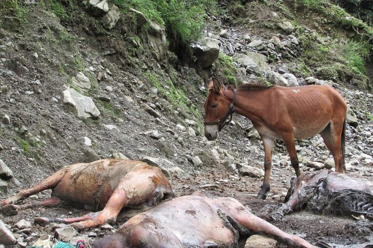 पहाड़ी राज्यों में भूस्खलन का खतरा बढ़ा, प्रशासन ने संवेदनशील क्षेत्रों में अलर्ट जारी किया
