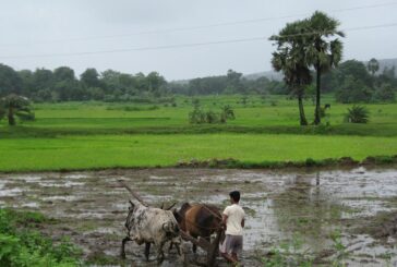 कृषि मंत्रालय ने खरीफ फसलों की स्थिति की समीक्षा की, राज्यों को किसानों की मदद और फसल सुरक्षा के लिए विशेष निर्देश
