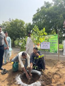 आनंद विहार और प्रीत विहार व कई क्षेत्रों में भारी वृक्षारोपण