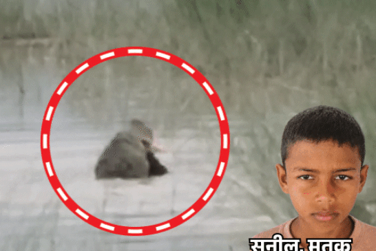 बहराइच में 12 साल के बच्चे को मगरमछ ने जिंदा खाया