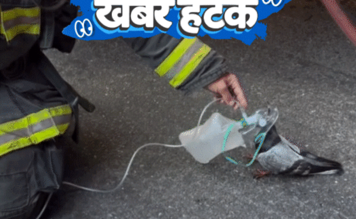 जम्मू-कश्मीर में सुरक्षा बलों का एनकाउंटर, दो आतंकी ढेर