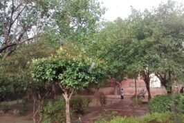 जंतर-मंतर पर CJP आंदोलन जारी, सरकार और प्रदर्शनकारियों के बीच बातचीत का दूसरा दौर संभव
