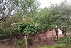 जंतर-मंतर पर CJP आंदोलन जारी, सरकार और प्रदर्शनकारियों के बीच बातचीत का दूसरा दौर संभव
