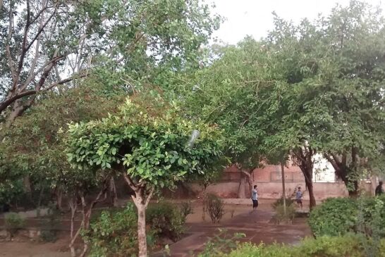 जंतर-मंतर पर CJP आंदोलन जारी, सरकार और प्रदर्शनकारियों के बीच बातचीत का दूसरा दौर संभव