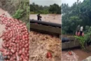 महाराष्ट्र बाढ़ में बह गए 3000 LPG गैस सिलेंडर! प्रशासन ने कहा- इन्हें हाथ भी मत लगाना| Maharashtra Rain Alert