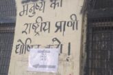 CJP आंदोलन को लेकर देशभर के विश्वविद्यालयों में समर्थन प्रदर्शन, कई शहरों में छात्रों ने निकाले मार्च; जंतर-मंतर बना राष्ट्रीय विरोध का केंद्र