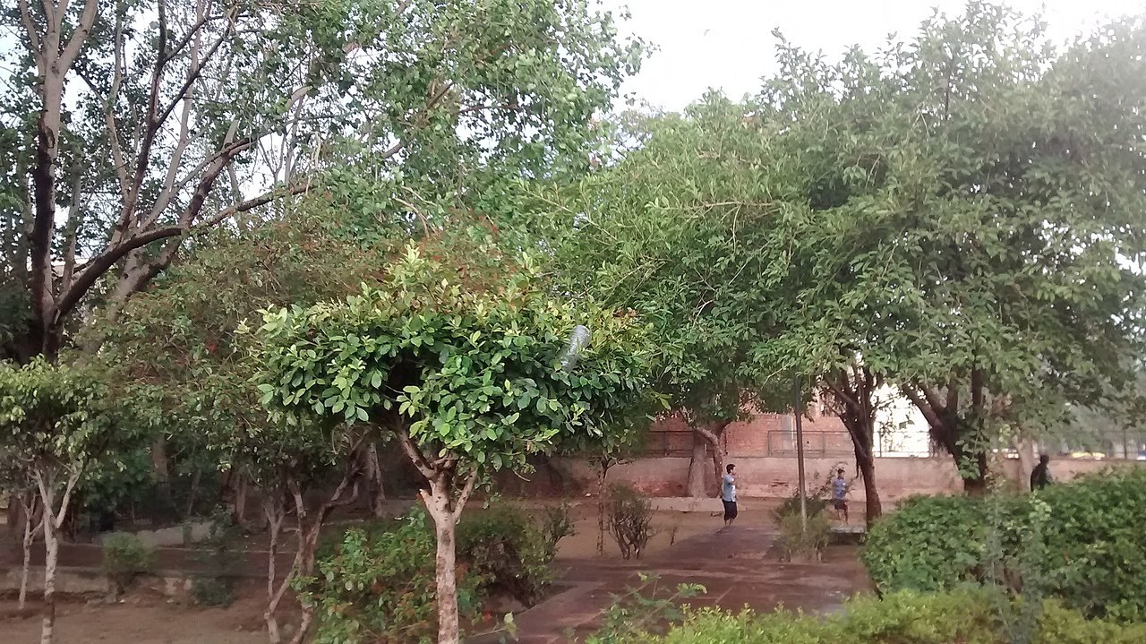 गाजियाबाद में मौसम को लेकर अलर्ट, उमस और बारिश की संभावना से लोग सतर्क