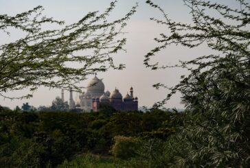 ‘आप इंडियन हैं? तो बाहर जाइए’, वियतनाम में भारतीयों के साथ हो रही है बदसलूकी? दूतावास ने दिया ये जवाब
