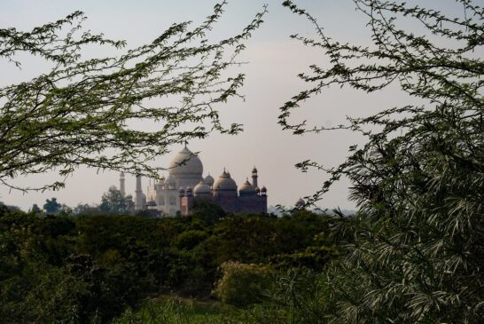 ‘आप इंडियन हैं? तो बाहर जाइए’, वियतनाम में भारतीयों के साथ हो रही है बदसलूकी? दूतावास ने दिया ये जवाब