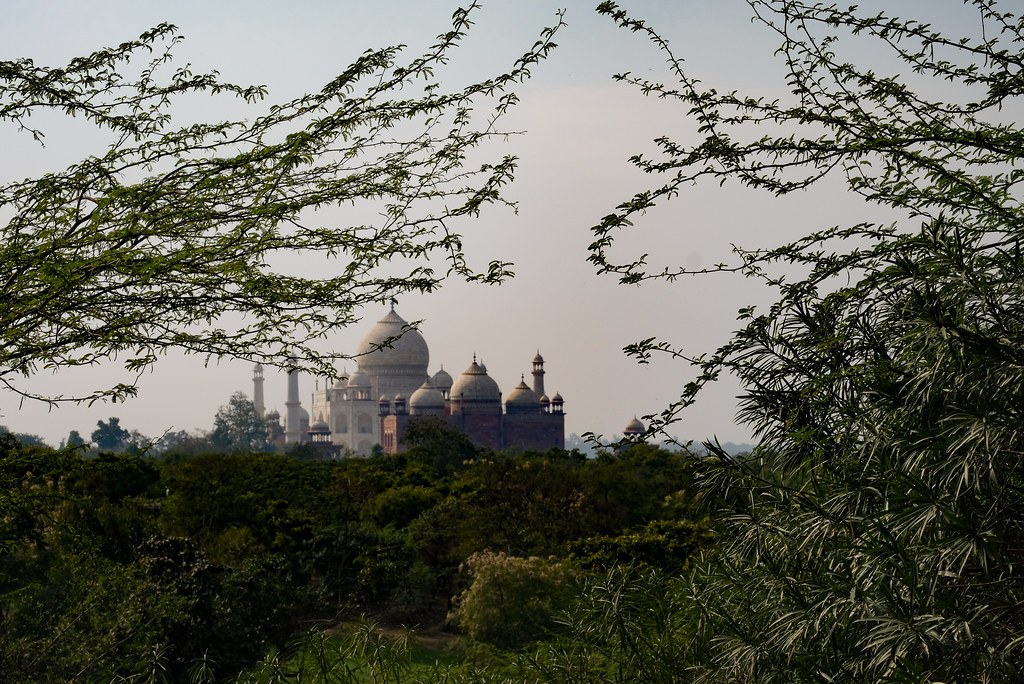 ‘आप इंडियन हैं? तो बाहर जाइए’, वियतनाम में भारतीयों के साथ हो रही है बदसलूकी? दूतावास ने दिया ये जवाब