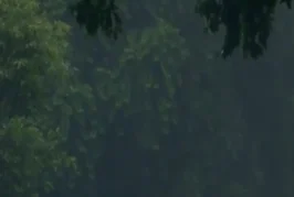 अहम: UP में मौसम विभाग का येलो अलर्ट जमकर बरसेंगे मानसूनी...