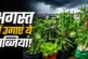 अहम: अगस्त में गमले में लगाएं ये 8 सब्जियां 30 दिन में मि...