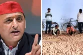 अहम: आलू किसान बेहाल अखिलेश ने पूछा 1 रुपये आलू में कैसे ...