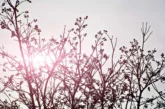 ताजा: Delhi Sees Humid Weather Maximum Temperature 13 Deg...