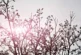 ताजा: Delhi Sees Humid Weather Maximum Temperature 13 Deg...