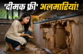 ताजा: दीमक से खोखली अलमारियां लकड़ी छोड़ें ये 4 मटेरियल क...