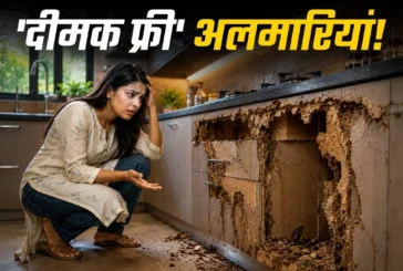 ताजा: दीमक से खोखली अलमारियां लकड़ी छोड़ें ये 4 मटेरियल क...