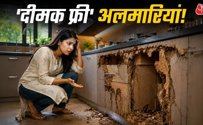 ताजा: दीमक से खोखली अलमारियां लकड़ी छोड़ें ये 4 मटेरियल क...