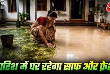ताजा: बारिश में हर जगह जम चुकी है काई ये ट्रिक अपनाएं चमक...