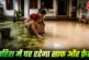 ताजा: बारिश में हर जगह जम चुकी है काई ये ट्रिक अपनाएं चमक...