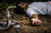 ताजा: सांप के काटने से कैसे हो जाती है मौत क्यों नहीं बच ...