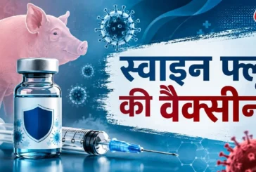 बड़ी खबर: Swine Flu से बचने के लिए लगवा लें ये वैक्सीन ऐस...