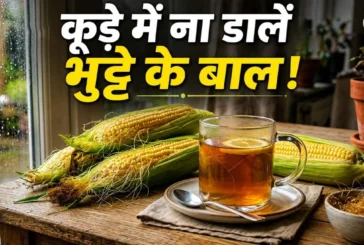 बड़ी खबर: कूड़ा समझकर न फेंके भुट्टे के बाल घर पर ऐसे बना...