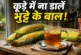 बड़ी खबर: कूड़ा समझकर न फेंके भुट्टे के बाल घर पर ऐसे बना...