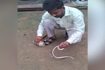 बड़ी खबर: घर में छिपा था साइलेंट किलर नजर पड़ी तो म...