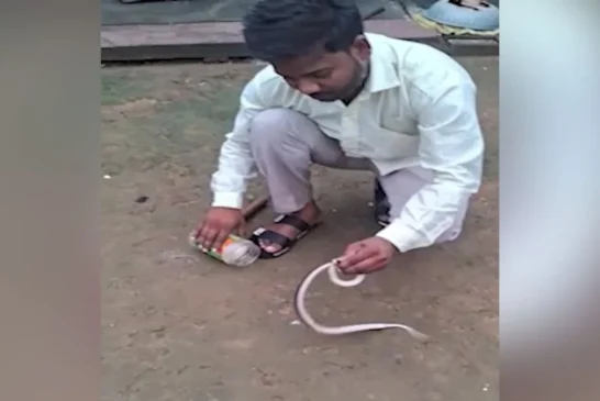 बड़ी खबर: घर में छिपा था साइलेंट किलर नजर पड़ी तो म...