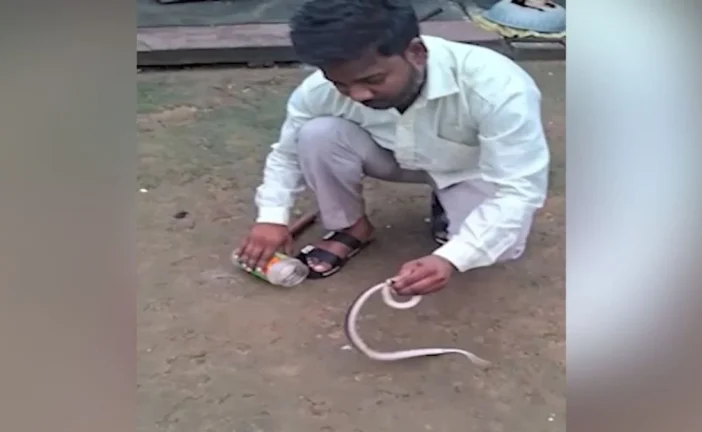 बड़ी खबर: घर में छिपा था साइलेंट किलर नजर पड़ी तो म...