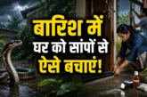 बड़ी खबर: बारिश में घर में घुस रहे हैं सांप आज ही अपनाएं ...