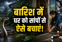 बड़ी खबर: बारिश में घर में घुस रहे हैं सांप आज ही अपनाएं ...
