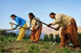 बड़ी खबर: मंथली 5000 किसान के बच्चों को दे रही सरकार कैसे...