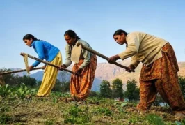 बड़ी खबर: मंथली 5000 किसान के बच्चों को दे रही सरकार कैसे...