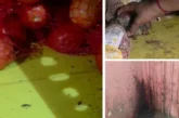 बड़ी खबर: मुंबई के Blinkit स्टोर में कॉकरोच और गंदगी का अ...