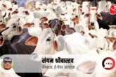 बड़ी खबर: यूपी में गोमूत्र खरीद के पीछे कितना दम कितनी तै...
