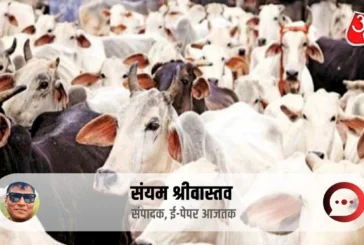 बड़ी खबर: यूपी में गोमूत्र खरीद के पीछे कितना दम कितनी तै...